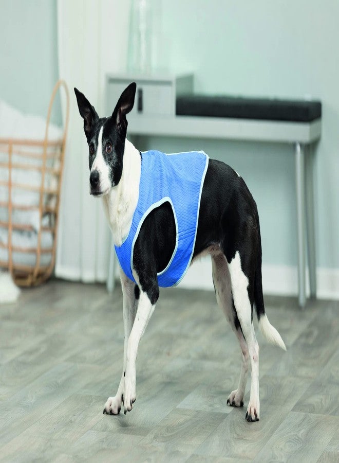 Trixie Cooling Vest for Dogs - Evaporative Cooling with Absorbent PVA, Adjustable Velcro, Reusable, Small 50 cm, Blue - Image 5